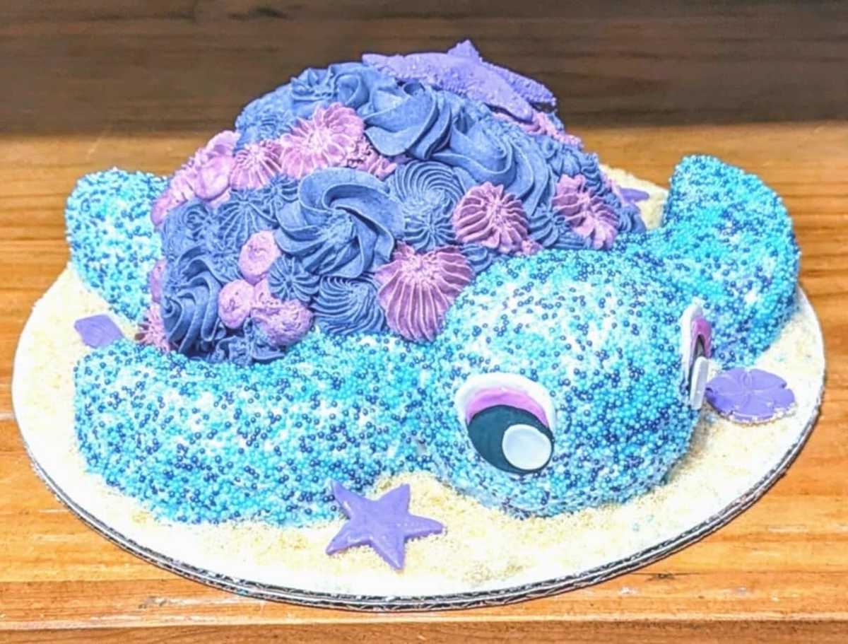 Turtle #cake
