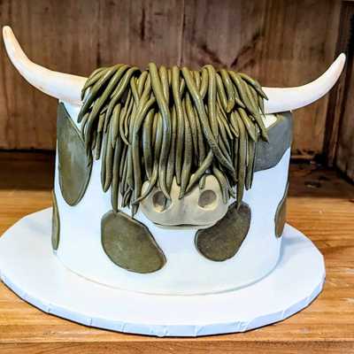 Highland Cow #cake #highlandcowcake