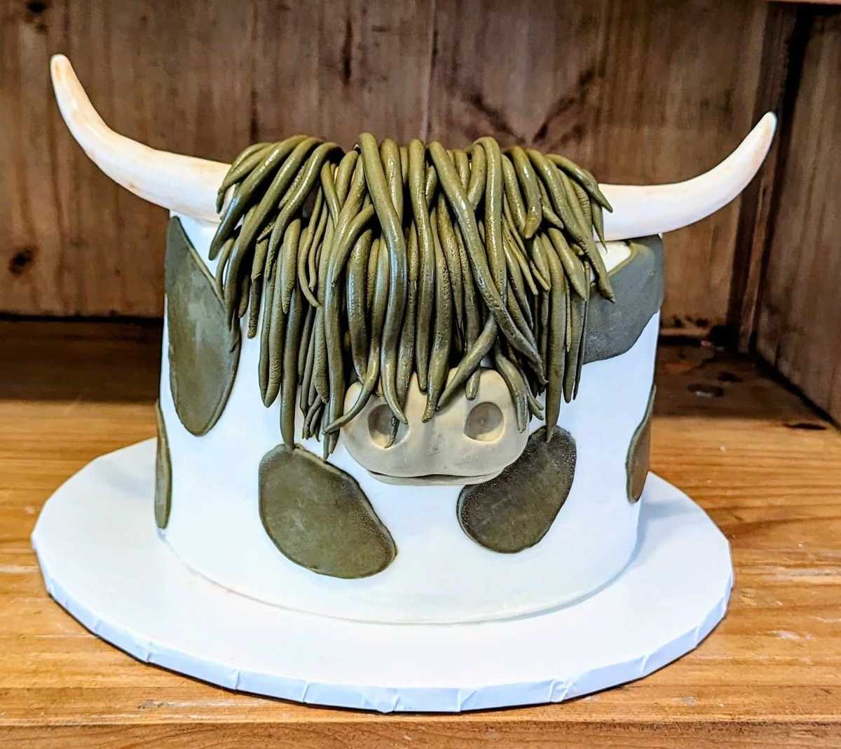 Highland Cow #cake #highlandcowcake