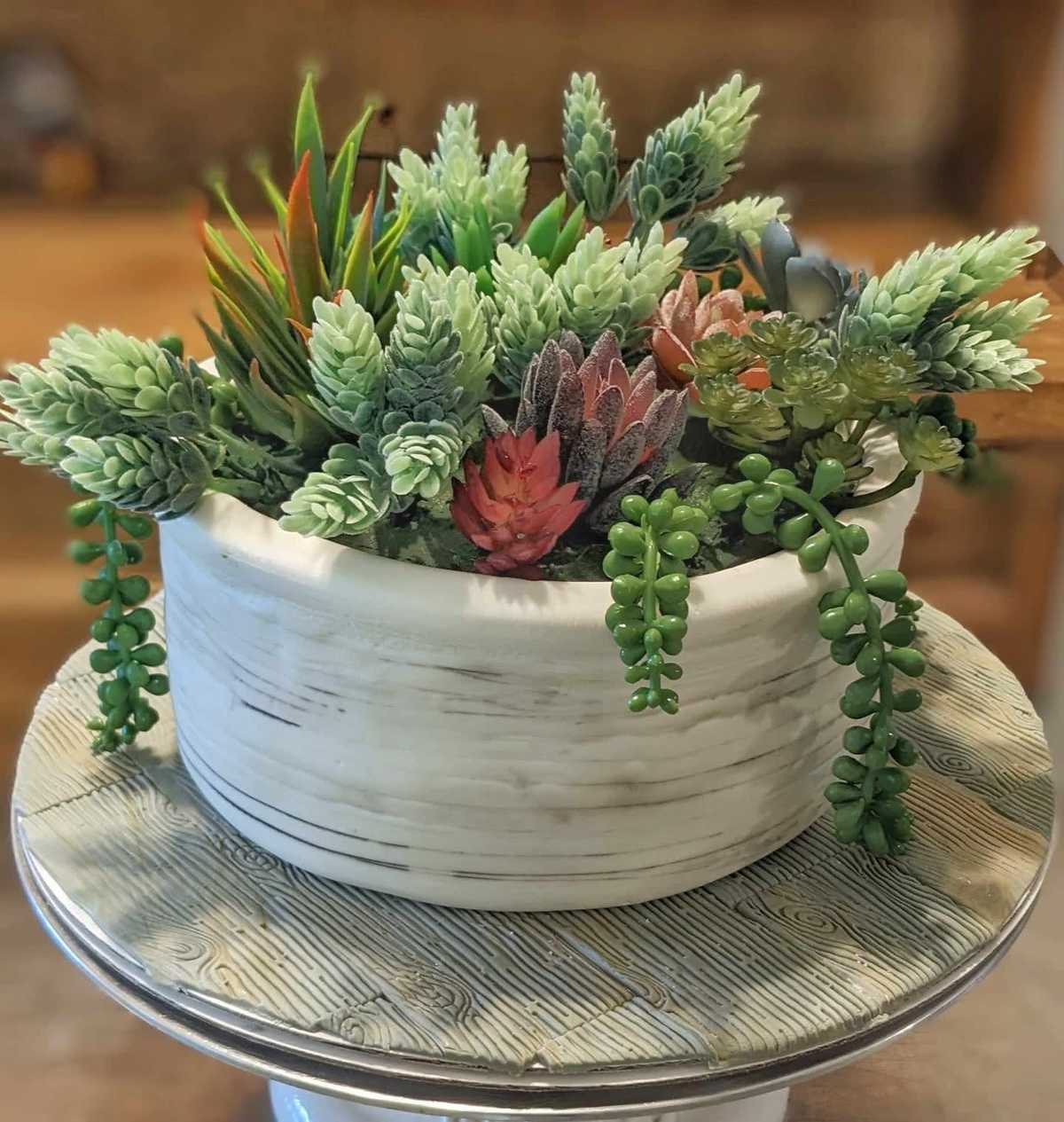 Succulent #cake