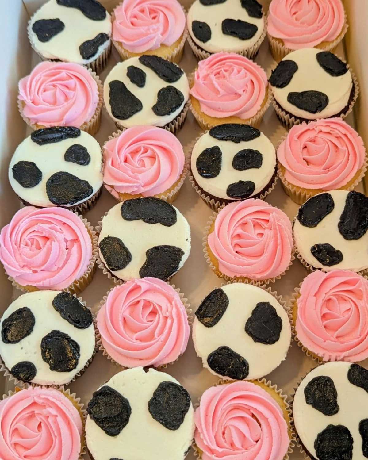 My first rodeo #cupcakes
