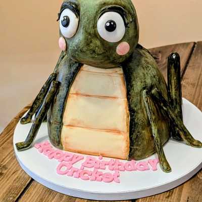 Cricket birthday #cake