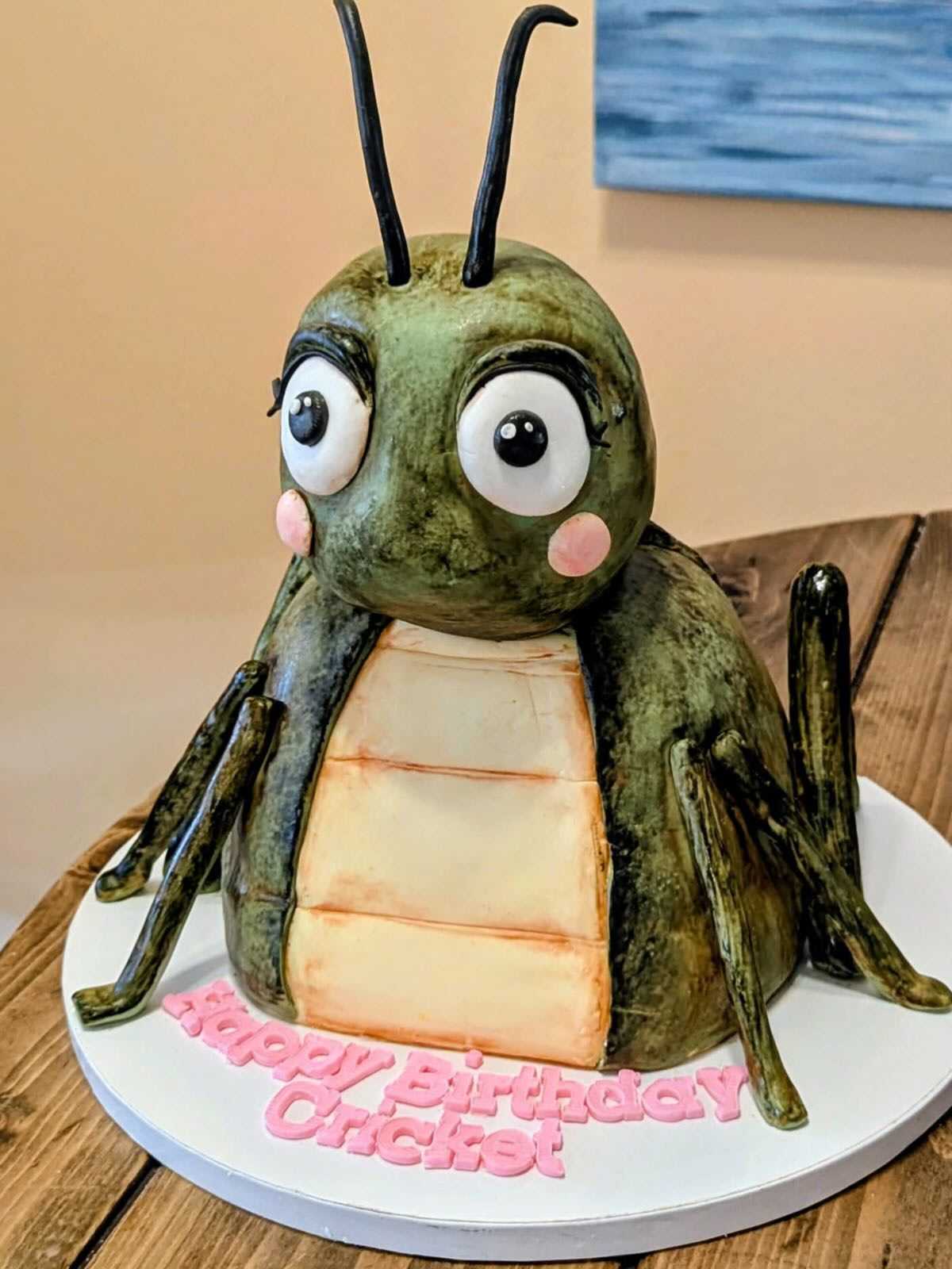 Cricket birthday #cake